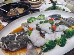 -顺意·顺德家乡菜(国际人才大厦店)