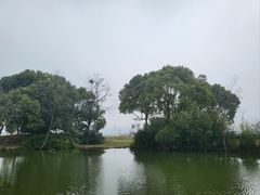 -良渚古城遗址公园