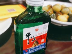 -蝎王府羊蝎子(西直门店)