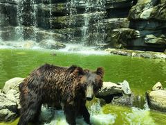 -北京野生动物园