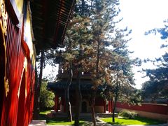 -普乐寺