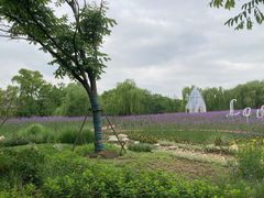 -梁鸿国家湿地公园