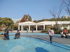 -颐景园