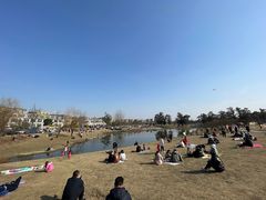 -两河城市森林公园