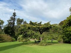 -墨尔本皇家植物园