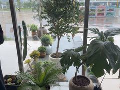 -喜茶(珠海华发商都店)