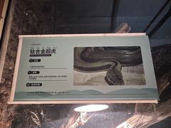 -杭州野生动物世界