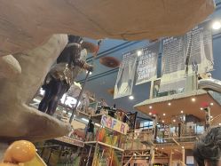 -卡通尼·Safari非洲探索乐园·生日会(金桥国际商业广场店)