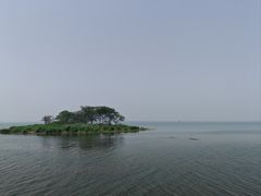-微山湖红荷湿地景区