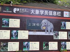 -野象谷景区