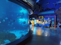 -烟台海昌鲸鲨海洋公园