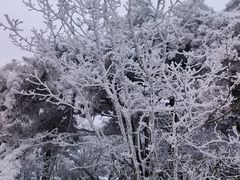 -安吉龙王山风景区