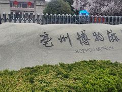 -亳州博物馆