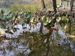 -北陵公园