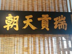 -灵龟之家百象馆(百象馆联合旗舰店)