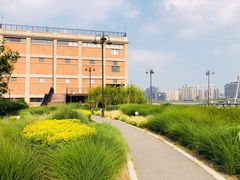 -北外滩滨江绿地