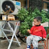 诸暨 |「蛋」是真的很可爱🥚