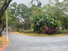 -人民公园(罗湖区)