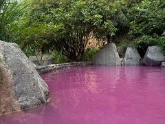 -麦积山温泉