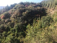 -黄花溪