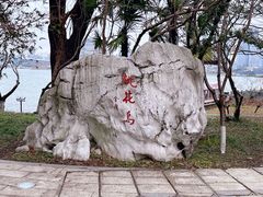 -金鸡湖桃花岛