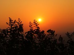 -杭州半山国家森林公园