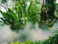 -中国科学院西双版纳热带植物园