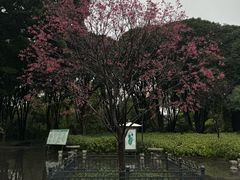 -柳侯公园