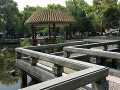 -江湾体育中心游泳馆