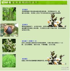 -极致·本色 发型工作室