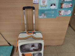-瑞派天使宠物医院·神经外科·骨科·核磁CT(洛川中路店)