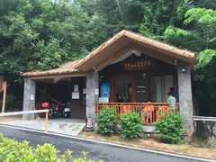 -海南热带雨林国家公园吊罗山景区