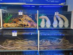 -开海·红岛海鲜虾水饺(石老人店)