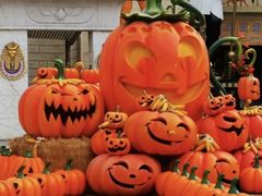 -蓬莱欧乐堡梦幻世界