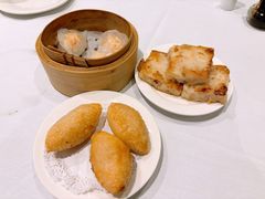 -食为先(Shark Fin)