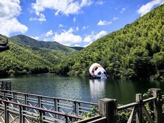 -竹乡人家大鱼头(南山竹海店)