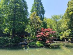 -杭州植物园