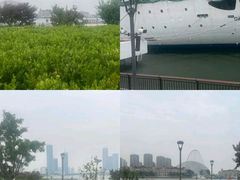 -海河外滩公园