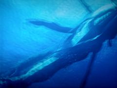 -嘉华国际影城(学清路店)