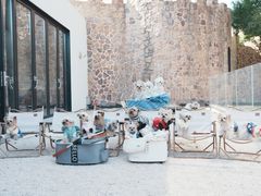 -J Create城市露营咖啡·简餐·宠物(上海动物园店)