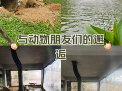 -广州动物园