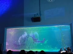 -常州海昌海洋探索馆