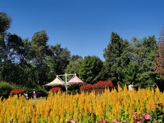 -黑龙江省森林植物园