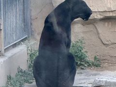 -石家庄市动物园