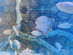 -多彩贵州城极地海洋世界