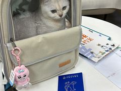 -申普宠物医院·心脏介入·心血管微创(总院)