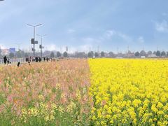 -中国天府农业博览园