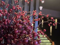 -上足·影院足道·SPA(红岭店)