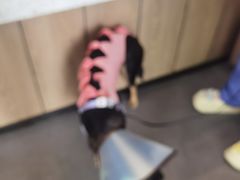 -半岛宠物医院24小时(科华中路店)