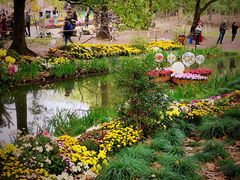 -上海共青森林公园